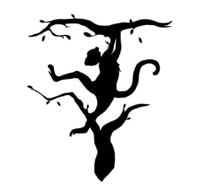 MaryYoonWX's tweet photo. What do you see? Head of a tiger or hanging monkey? #leftbrained #rightbrained https://t.co/aveCSVWRyR