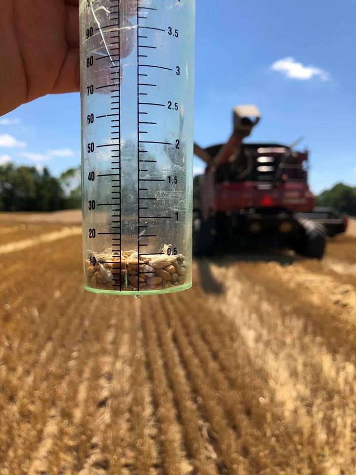 kondex's tweet photo. 0.3% loss in 14% moisture 80 bushel/acre wheat in west TN means one happy #KX7 customer! Put more wheat in the bin and money the bank with #KondexConcaves!!! #Harvest2020 https://t.co/s3tJMnxtVx