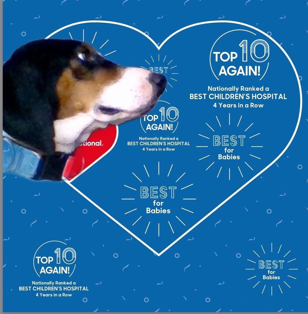 ChildrensNatl's tweet photo. Our furry friends joined in on the fun🎉! Barking for excitement #Top10again https://t.co/fEZnzoINEL