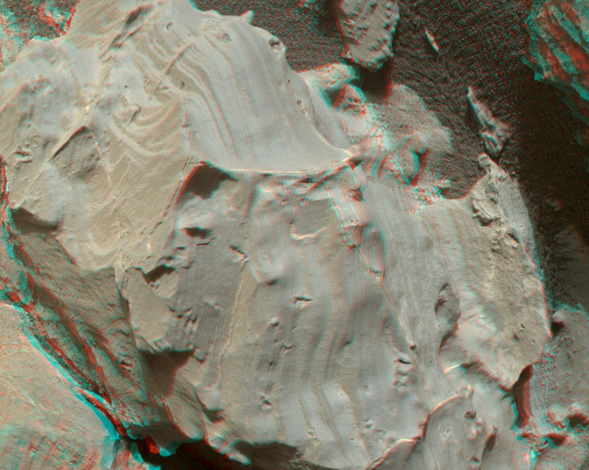Democracy Mars tweet media