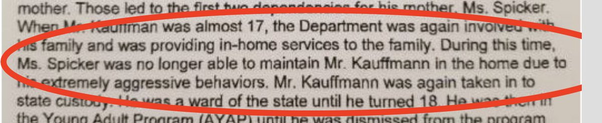 In the first document, I would highlight this passage specifically, which describes behavior at age 16 so violently aggressive that his mother was unable to sustain custody of him.This is, as a reminder, just one piece of evidence in court documents alleging domestic violence.