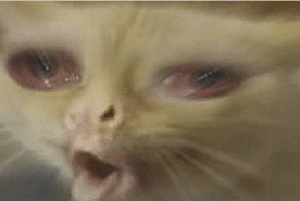 petergrippin's tweet photo. Nobody:
D1 Althetes when they see a white girl: https://t.co/tDENgG9Qzk