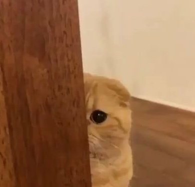 atee_zZz's tweet photo. peekaboo, I see you Hongjoong https://t.co/wOYtS1sm8Y