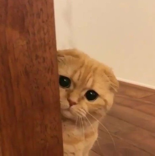 atee_zZz's tweet photo. peekaboo, I see you Hongjoong https://t.co/wOYtS1sm8Y