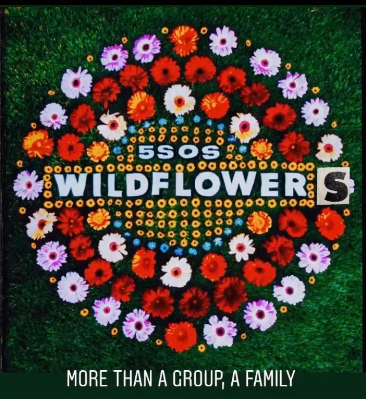 Daniela21062's tweet image. Vamos a darles mucho amoor 

#keepcalmSTREAMCALM
#Wildflowers 

@Ashton5SOS @5SOS @Calum5SOS @Michael5SOS @Luke5SOS