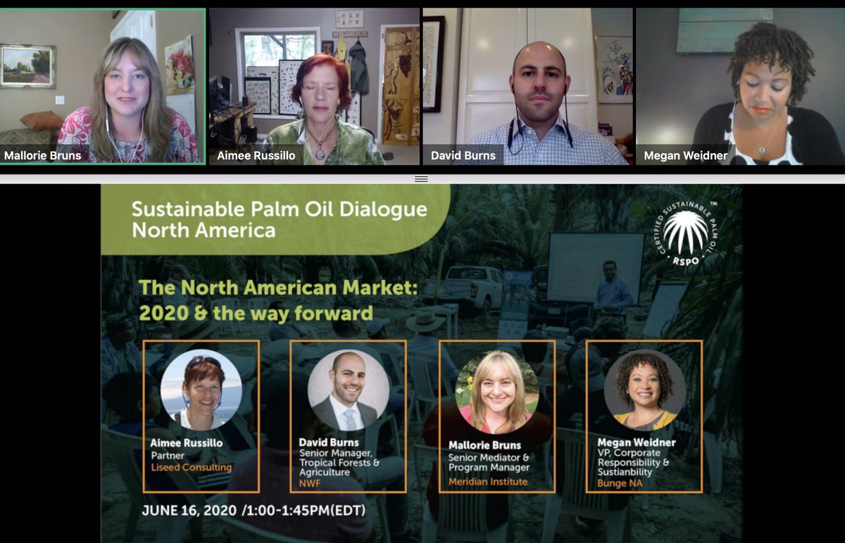 AcctFramework's tweet photo. Mallorie Bruns of @MeridOrg's advice to attendees of @RSPOtweets's North America Sustainable Palm Oil Dialogue: "If you are a company, traceability is key. You need to know where your products are coming from." #EthicalSupplyChains https://t.co/gWw9cepO8u