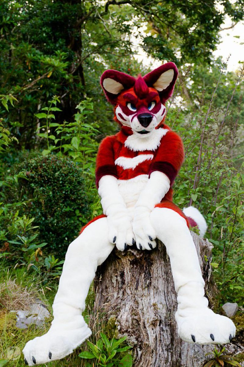 Talon 🇮🇪 🔜 LFM tweet media