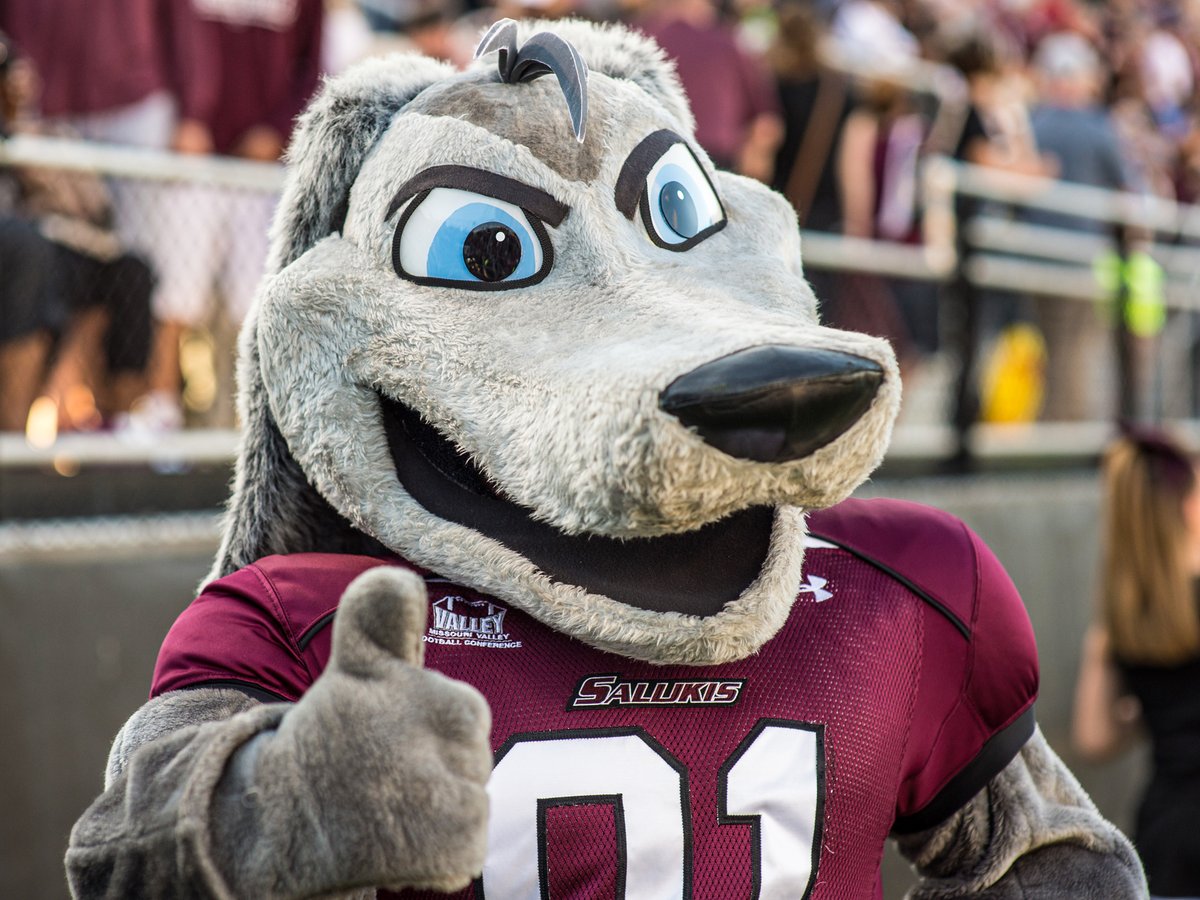 It’s #NationalMascotDay! 🐾

Once a Saluki, Always a Saluki.