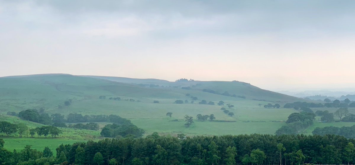 WoodspaWillow's tweet image. Day eighty four, far from the #LittleCottageHouse . . . 

Nicky Nook, downpour, thunder and soggy spandex. #EveningCycle

#Lockdown