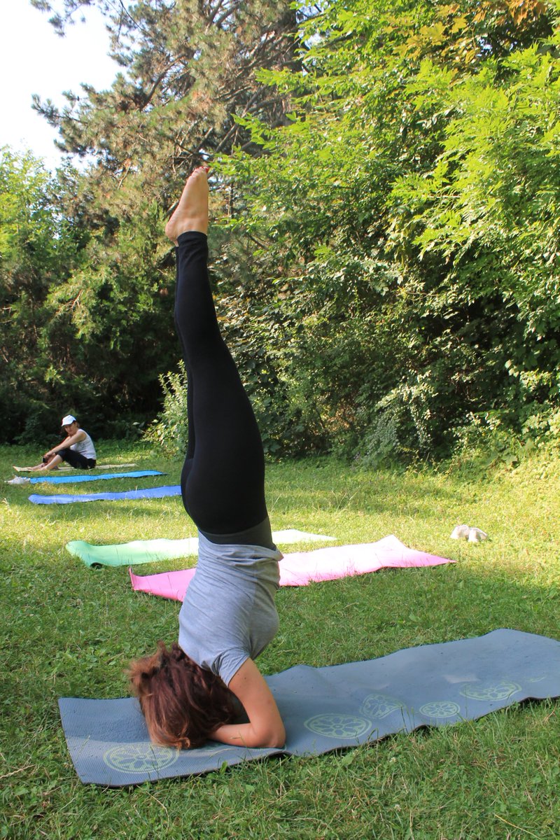 babayan_tatev's tweet photo. #yoga me https://t.co/IrscQtjUuA