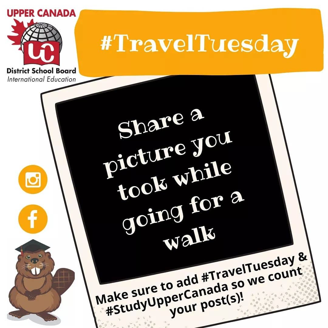 StudyUpperCan's tweet image. It's #TravelTuesday!
Share/Email a picture you took while going for a walk in Upper Canada
Earn up to 3 chances to win if you:
1) Share on Facebook, Instagram, and email international@uclc.ca
THANK-YOU &amp;amp; GOOD LUCK!
#studyuppercanada