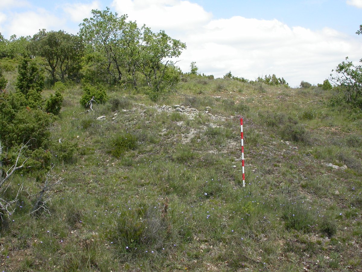 PatrimonioAlava's tweet image. Desde #Letona hasta #Zaitegi y #Olano quedan restos tumulares #neolíticos como el Conjunto Tumular de #Genda. #Álava
Foto: @i_euskadi