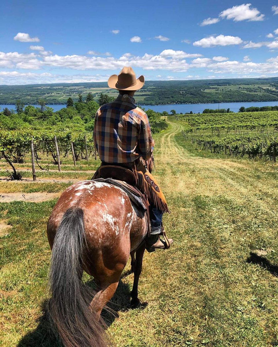 FlxBritt's tweet photo. Q2. @FulkersonWinery is just getting ready to bring horses @PaintedBar and winery visits together. Can't wait to try this! #myflx Pic by @PaintedBar https://t.co/qJkvgr8lbF