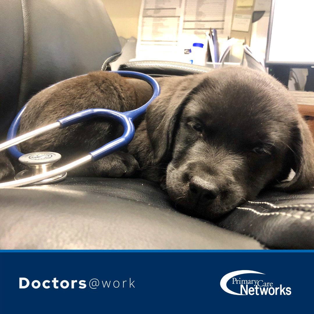 foothillspcn's tweet photo. When Dr. Tammy McKnight is working from home, she has a new assistant named Mango.
Family doctors are doing in-person appointment and virtual appointments during COVID-19 pandemic. #doctorsatwork https://t.co/Ods1r2lXLB