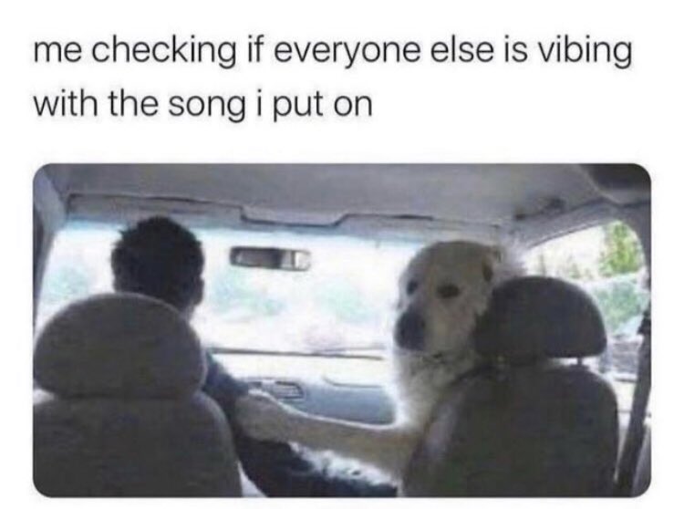 RespectfulMemes's tweet photo. https://t.co/6BZPwnYsME
