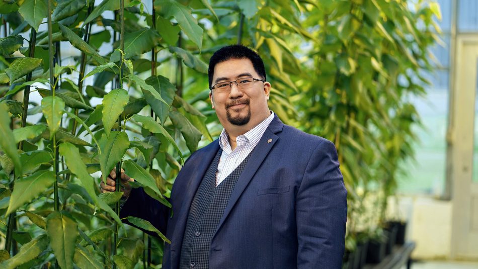 NC State College of Agriculture and Life Sciences (@ncstatecals) on Twitter photo A company founded by <a href="/NCStateCALS/">NC State College of Agriculture and Life Sciences</a> researcher Rodolphe Barrangou (<a href="/CRISPRchef/">Rodolphe Barrangou</a>) and <a href="/NCStateCNR/">NC State College of Natural Resources</a> researcher Jack Wang is working to revolutionize the #forestry industry through the power of #GenomeEditing. See what it means for the future: ncst.at/Q3Rz30qQEnQ #ThinkAndDo A company founded by <a href="/NCStateCALS/">NC State College of Agriculture and Life Sciences</a> researcher Rodolphe Barrangou (<a href="/CRISPRchef/">Rodolphe Barrangou</a>) and <a href="/NCStateCNR/">NC State College of Natural Resources</a> researcher Jack Wang is working to revolutionize the #forestry industry through the power of #GenomeEditing. See what it means for the future: ncst.at/Q3Rz30qQEnQ #ThinkAndDo