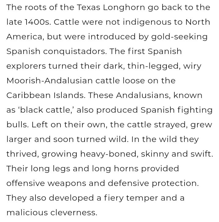 Speaking of tehas/texas it is and was known that the cowboys are moorish in origin so much so that the texas long horn is the andalusian cattle. The dark skinned moors who traveled from Iberia to the americas are our ancestors  @LilNasX cowboys are probably in your Gene pool