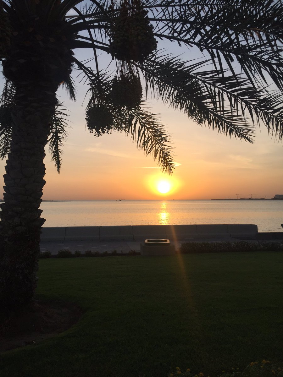 ElAlssonPhysEd's tweet image. 