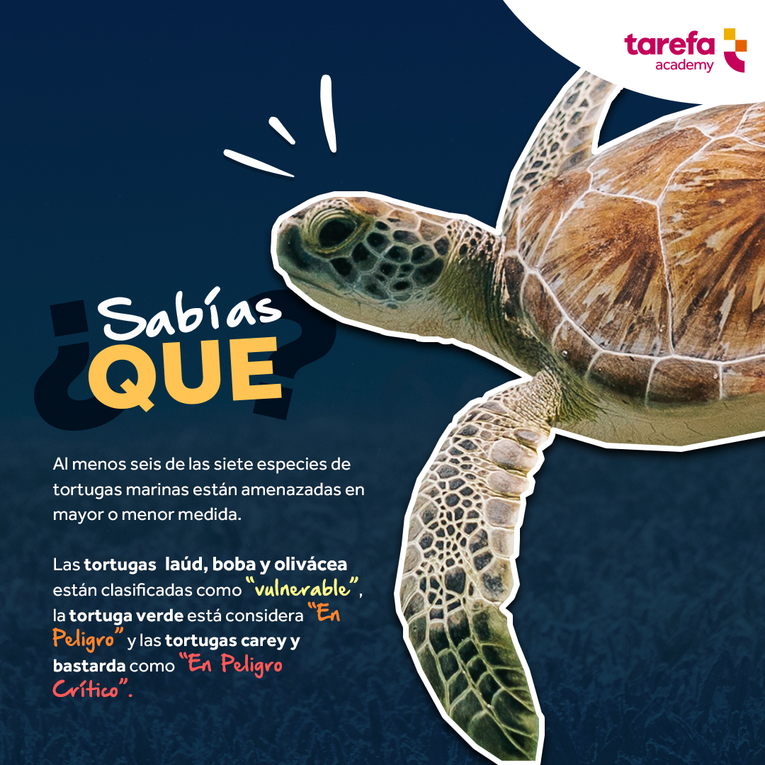 Depende de nosotros protegerlas. 🐢 #DiaMundialDeLasTortugasMarinas 
#MarcharEnPandemiaEs