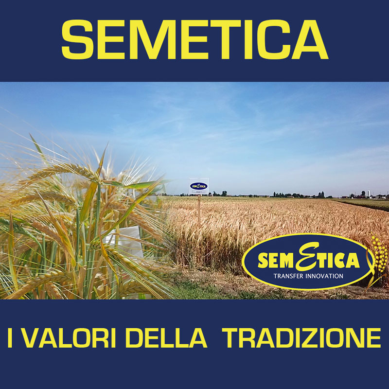 SEMETICAsrl's tweet photo. ✔️ Soluzioni avanzate che guardano al futuro
🌱 Mantenendo e senza perdere di vista I VALORI DELLA TRADIZIONE
✔️ SEMETICA RICERCA E INNOVAZIONE
#semetica #sementi #aziendasperimentale #orzo #granotenero #granoduro #triticale #avena #miscugli #agricoltura #agronomo #coltivazione https://t.co/8bIRC17mHd