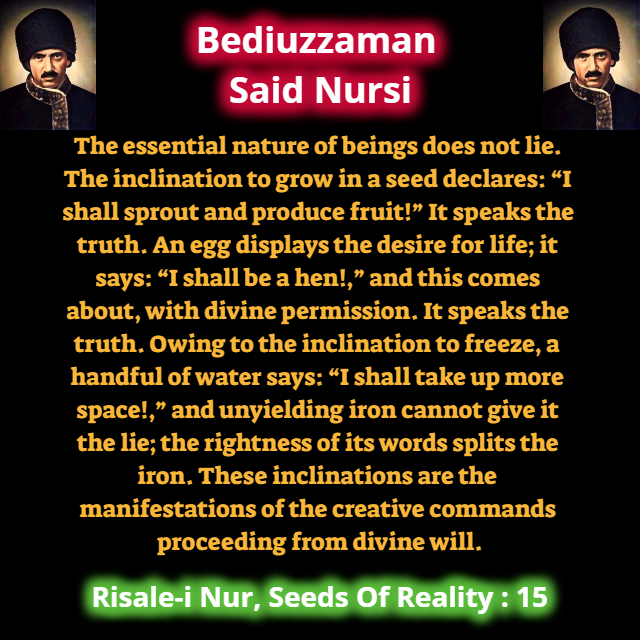 CollectionNursi's tweet photo. The essential nature of beings does not lie. The inclination to grow in a seed declares: “I shall sprout and produce fruit!” It speaks the truth. An egg displays the desire for life; it says: “I shall be a hen!,” and this comes about, with divine permission... #SeedsOfReality https://t.co/gMLLEQifWA