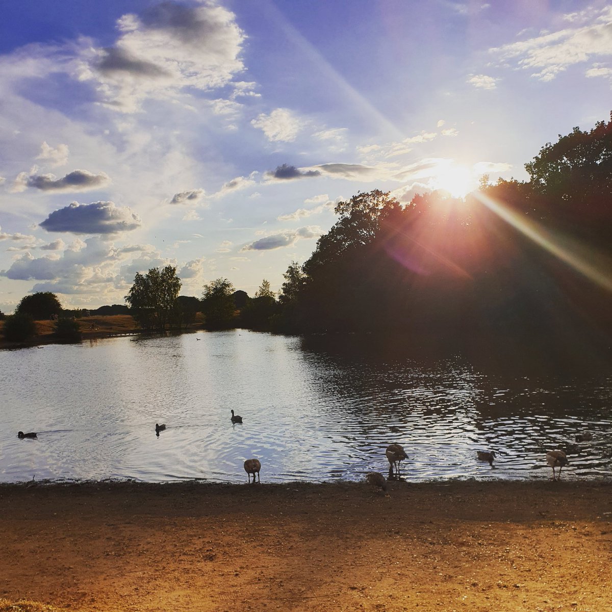 So lucky to have this on the doorstep to unwind of an evening.... <a href="/CoLEppingForest/">Epping Forest</a> <a href="/FWP2009/">Friends of Wanstead Parklands</a> #eppingforest #wansteadflats #forestgate