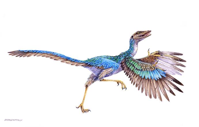 Conheça o Archaeopteryx: o elo perdido entre aves e répteis