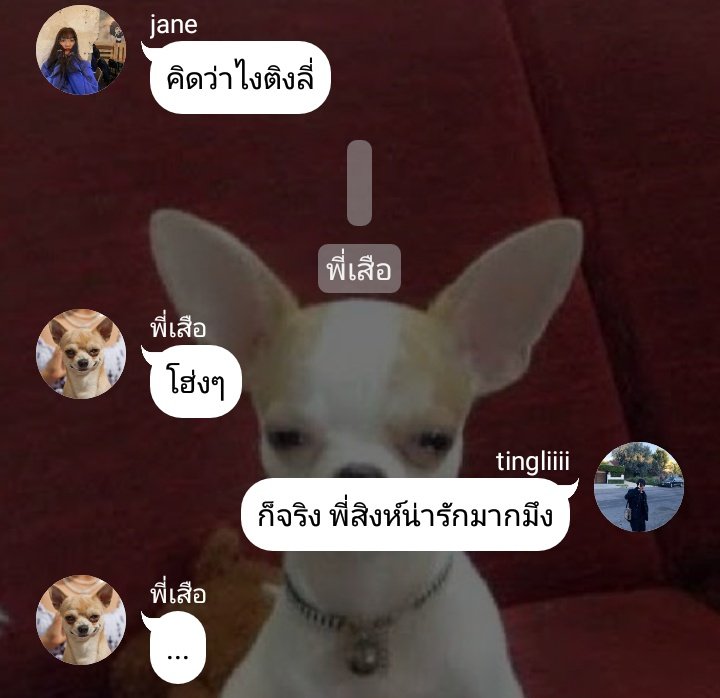 stdstardust's tweet photo. pls rt ♡

#พี่เสืออย่าร้าย

10 พี่เสืองอนอีกแล้ว

https://t.co/BcG4gSe75j

#โดเตนล์ #จอยโดเตนล์ #ฟิคโดเตนล์ #doten #ficdoten #ficnct #joylada #จอยลดา #คลังฟิคโดเตนล์ https://t.co/ROdjeql6iD https://t.co/OUWNO3lJ6S https://t.co/U1qAzXQ4HP