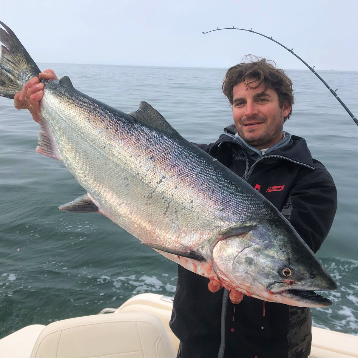 PoggioTrattoria's tweet photo. Doesnโt get any fresher ๐๐๐ #localsalmon #freshfish #docktodish #poggiotrattoria https://t.co/evEfUNLfvM