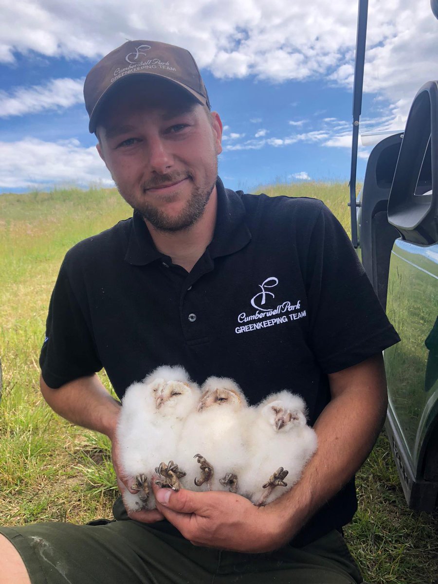 Jon Keepen tweet media