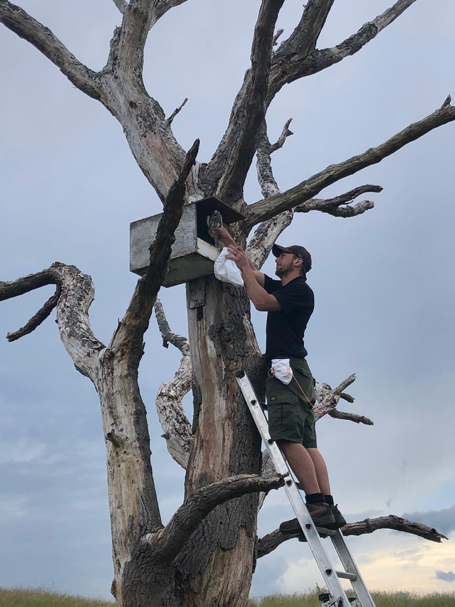 Jon Keepen tweet media