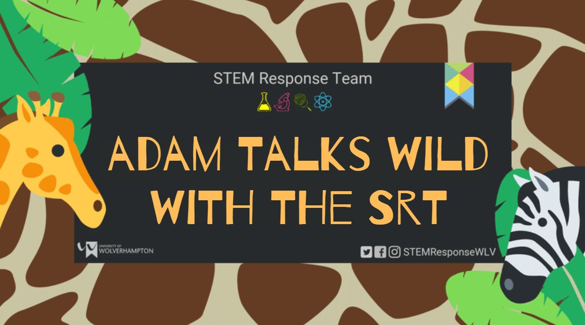 STEMResponseWLV's tweet photo. Join Ellesse &amp; Adam as they discuss #wildlife #conservation 🦁 environmental education 🌿 and tales from the bush 🦏 in the #STEM Response Team's latest #podcast. 

Head over to our #YouTube channel to listen ➡️ https://t.co/3GtcQbCb1u

@wlv_uni #ScienceAtHome  #TalksWild https://t.co/ioN3VF2re6