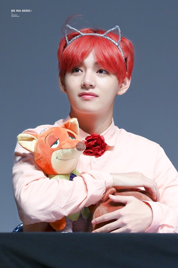 Taehyung with Nick Wilde plush though 