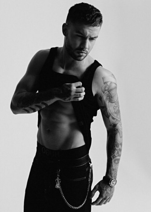 liam payne ending everyone’s modelling career;    —a much needed thread—