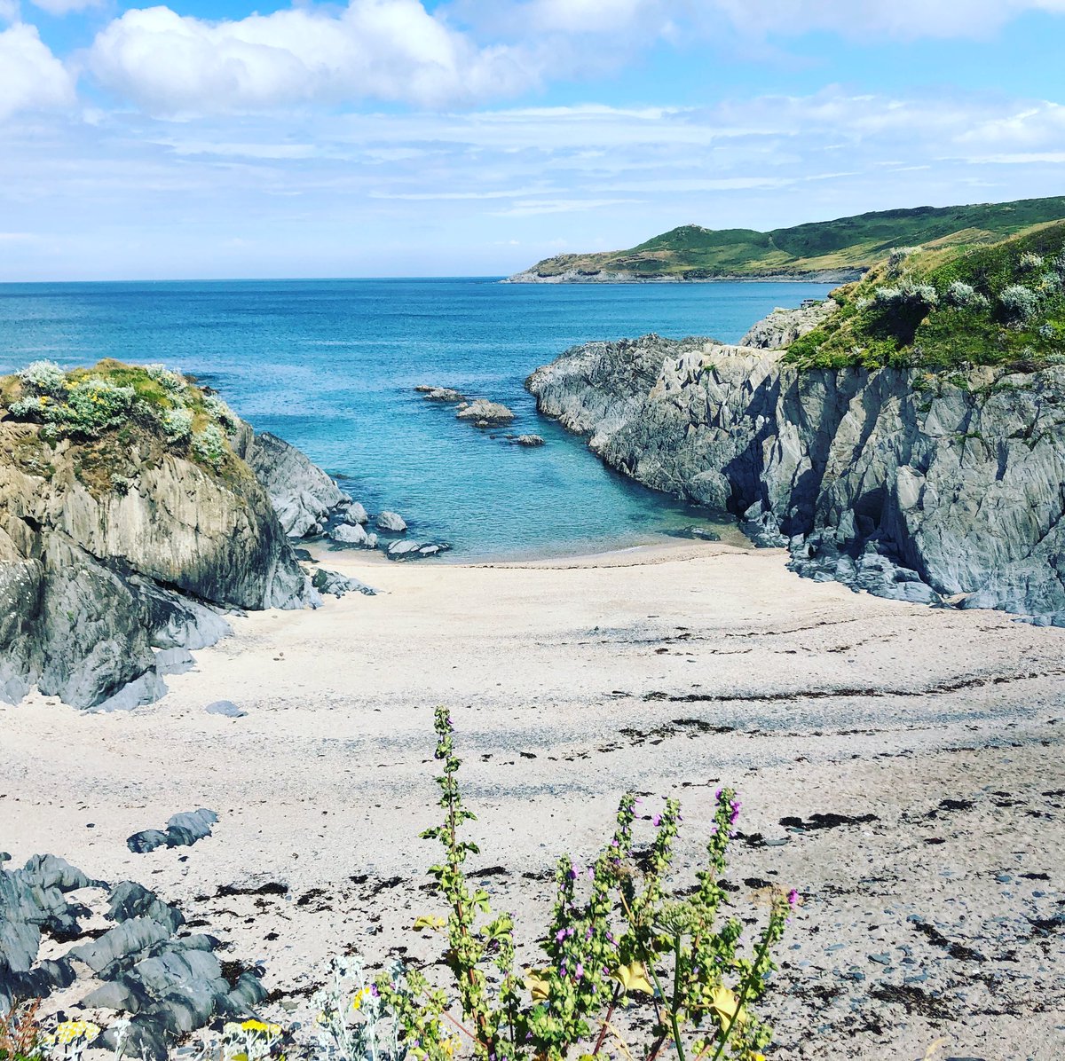 wild__medic's tweet image. Tired of the train home from Waterloo? Looking for a bit more work life balance. Are you a Intensivist? Get in touch....jobs available in North Devon #DevonisHeaven @ICS_updates @RCoANews @FICMNews @ndht