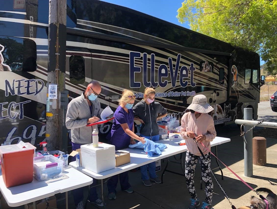HOPESFCOMMUNITY's tweet photo. Thanks to @ElleVet for providing free veterinary care to our #HOPESF pets. On Saturday over 50 pets received services and treatment, including vaccinations, medicine, skin treatment, food, and supplies. Our #AliceGriffith community is grateful! #WeAreInThisTogether #PetCareDay https://t.co/Gg91hcuESJ