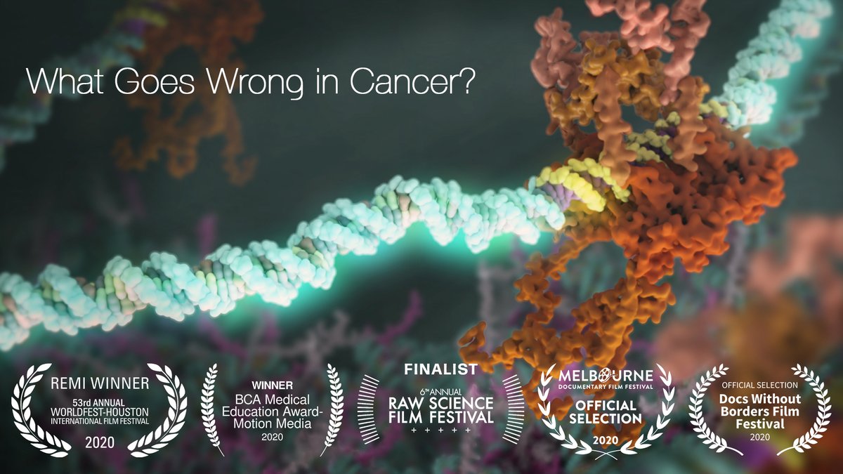 Maja Divjak, PhD (@maja_divjak) on Twitter photo Thrilled and humbled to have 'What Goes Wrong in Cancer' officially selected for the Melbourne Documentary Film Festival <a href="/PeterMacCC/">Peter Mac Cancer Centre</a> <a href="/PeterMacRes/">Peter Mac Research</a> <a href="/MDFFest/">The 10th Melbourne Doc Fest / Naarm Doco Film Fest</a> Thrilled and humbled to have 'What Goes Wrong in Cancer' officially selected for the Melbourne Documentary Film Festival <a href="/PeterMacCC/">Peter Mac Cancer Centre</a> <a href="/PeterMacRes/">Peter Mac Research</a> <a href="/MDFFest/">The 10th Melbourne Doc Fest / Naarm Doco Film Fest</a>