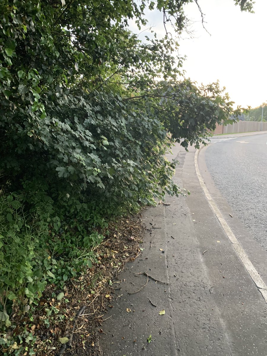 oliverjquinn's tweet photo. @lisburnccc @deptinfra @NicholaMallon can anyone tell me who is responsible for the maintenance of these hedgerows? Footpaths are either becoming impassable or impassable without stepping off into the road. #2mRule #Sightlines https://t.co/C8L1jyvh4J
