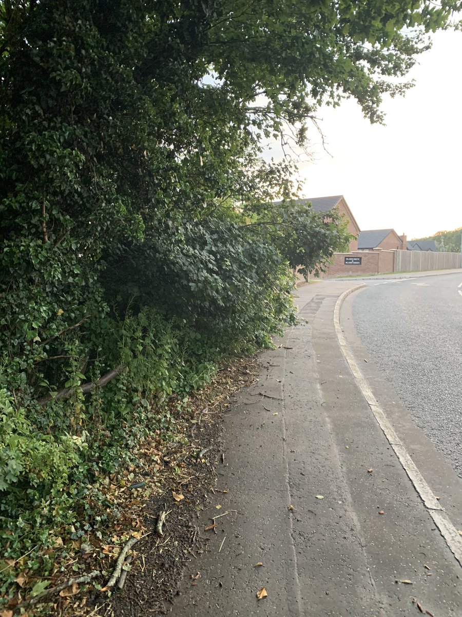 oliverjquinn's tweet photo. @lisburnccc @deptinfra @NicholaMallon can anyone tell me who is responsible for the maintenance of these hedgerows? Footpaths are either becoming impassable or impassable without stepping off into the road. #2mRule #Sightlines https://t.co/C8L1jyvh4J