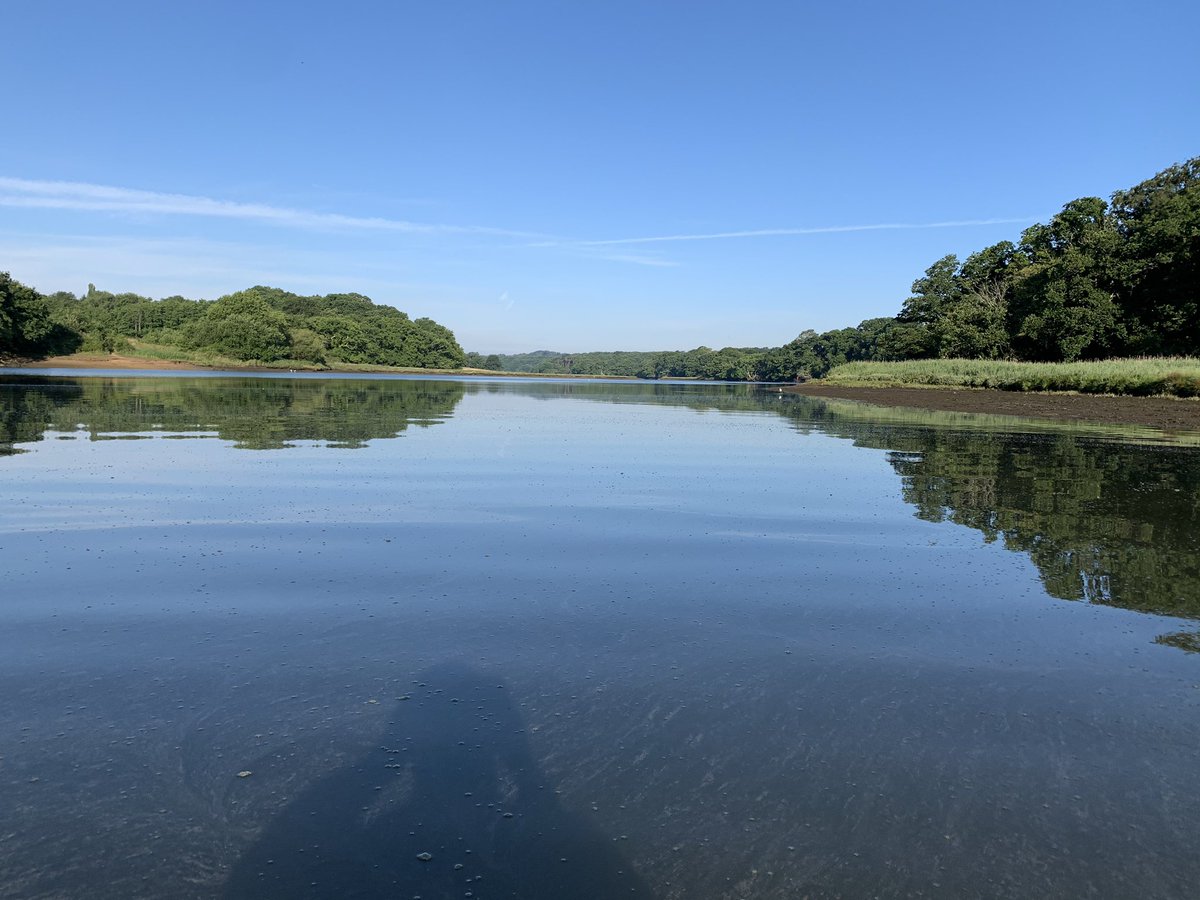 WashedUpEvents's tweet photo. The same bit of river on the hamble first this morning in a kayak and last thing tonight swimming. So lucky to have this on our doorstep. #hamble #lockdownpositive https://t.co/7BrnmTyLWO