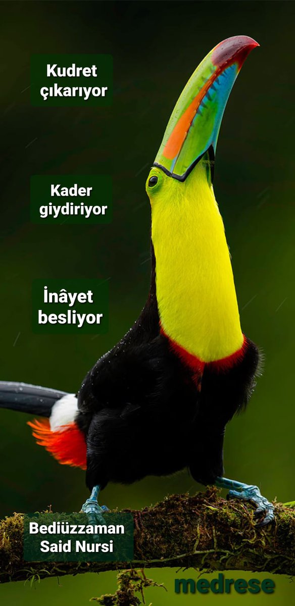 Prof. Dr. Şener DİLEK (@profsenerdilek) on Twitter photo 