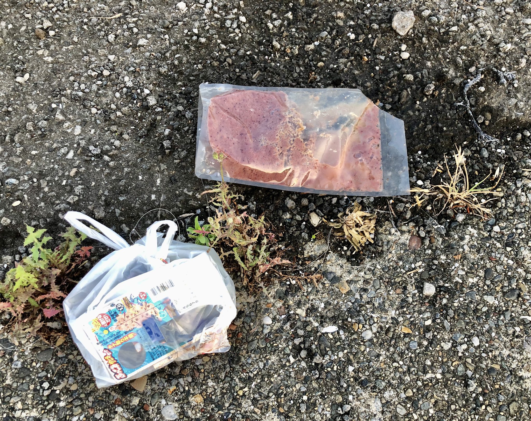 国丸 はい 釣り禁止にしま す 国丸 はい 釣り禁止にしま す