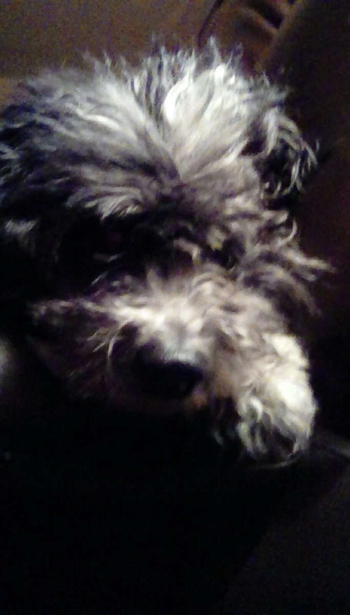 EdwardHERE's tweet image. amazon.com/photos/shared/…