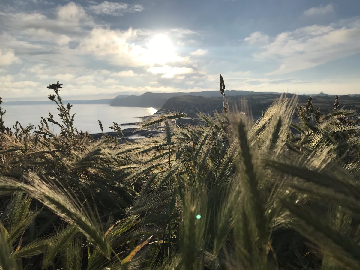 devilsrl's tweet image. Beautiful evening at West Bay Bridport