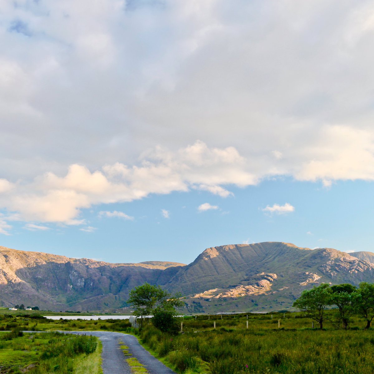 Winter food included bullocks, flitches of bacon, malt & dried grain. Summer food revolved around dairy - milk, cream & cheese. Your status dictated your diet. Kings ate well but their lowliest subjects dined on a meagre & monotonous diet. (Kerry)
