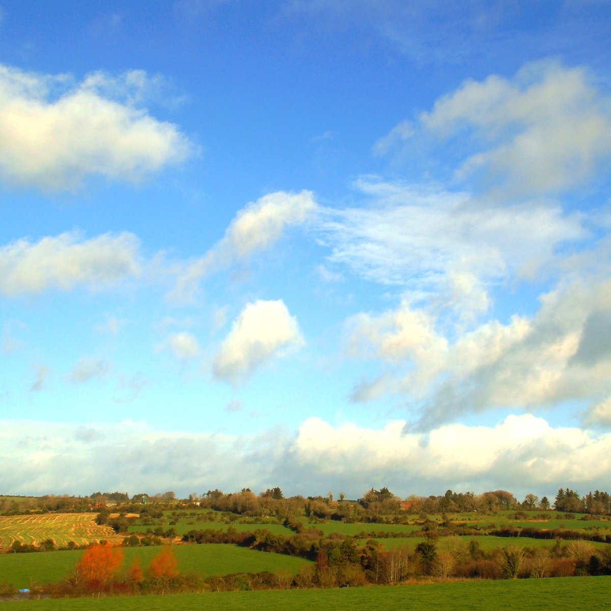 The Irish love affair with milk has ancient roots. This was according to a 10th C account because it was ‘good when fresh, good when old, good when thick, good when thin’. There were myriad ways of describing milk! It was an obsession. (Meath)