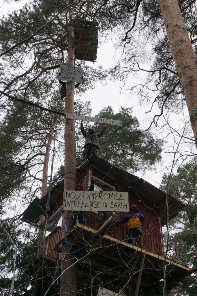 DasMeer5's tweet image. Der besetzte Blodstensskogen in Uppsala, Schweden steht kurz vor der Räumung: hambacherforst.org/blog/2020/06/1… 
#blodstensskogen #besetzen