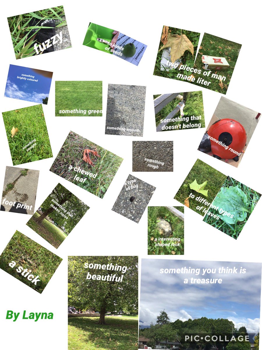 Ms. L's Class (@mslsclass) on Twitter photo A successful scavenger hunt with proof in the collages created. <a href="/LivingstoneVSB/">LivingstoneVSB</a> #vsblearns A successful scavenger hunt with proof in the collages created. <a href="/LivingstoneVSB/">LivingstoneVSB</a> #vsblearns