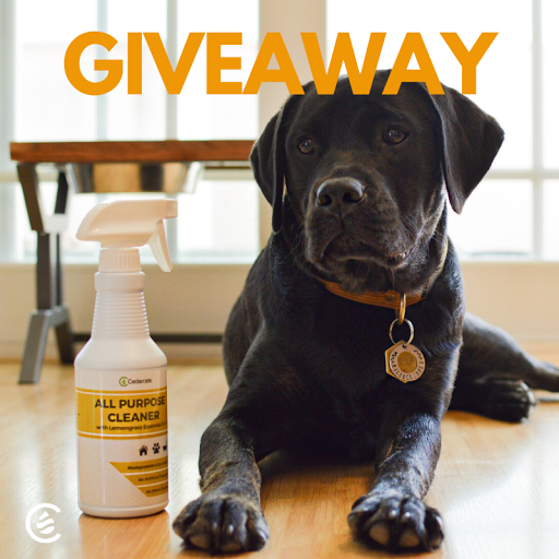 realcedarcide's tweet photo. It's #Cedarcide #giveaway time! This week we are back with our All-Purpose Cleaner with Lemongrass. π
Our non-toxic, chemical free cleaner will leave your house smelling and looking fresh! π§Ήπ§½
To enter: Just RT and follow! That's itπ
US Only. Ends 6/23. https://t.co/ee5AFJ96x2