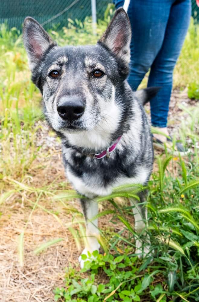 Venus looking inquisitive and Roger looking a little overwhelmed, but still adorable